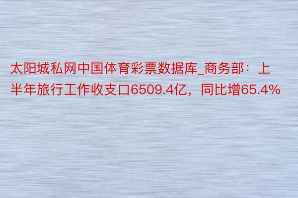 太阳城私网中国体育彩票数据库_商务部：上半年旅行工作收支口6509.4亿，同比增65.4%