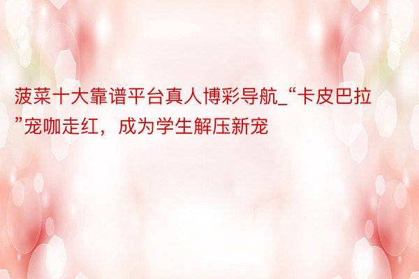 菠菜十大靠谱平台真人博彩导航_“卡皮巴拉”宠咖走红，成为学生解压新宠